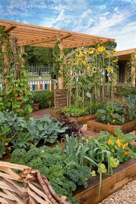 How to make a free garden?