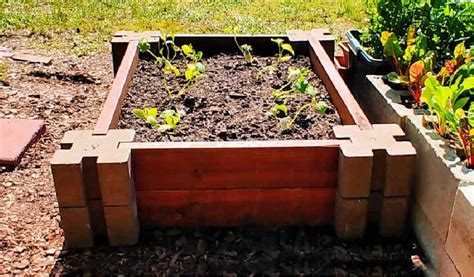 How to make a raised garden bed for cheap?