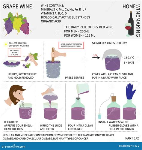 How to make wine step by step?