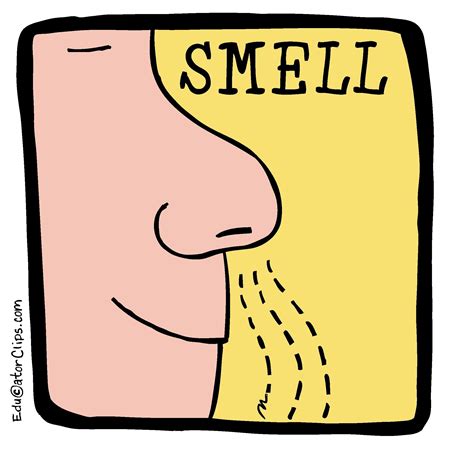 How to not be smelly?