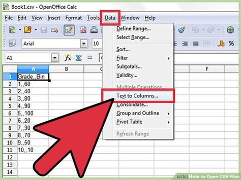 How to open CSV file?