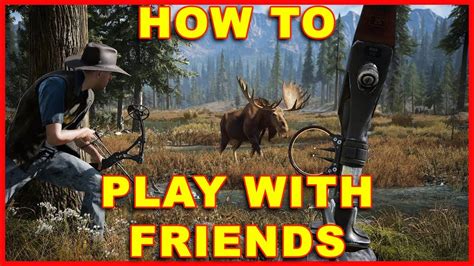 How to play Far Cry 5 with 2 players?