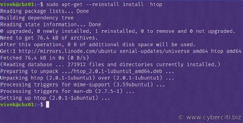 How to reinstall a package in Debian?