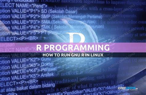 How to run R studio on Linux?