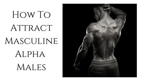 How to seduce alpha male?