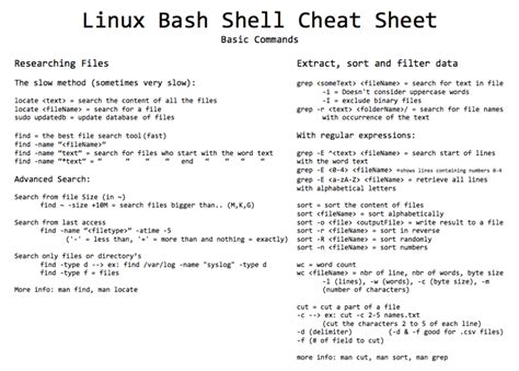 How to setup bash commands?