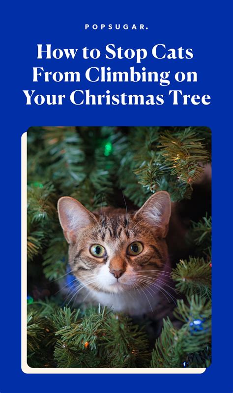 How to stop cats from messing with Christmas tree reddit?