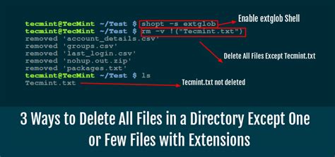 How to sudo delete a file?