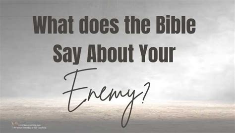 How to treat an enemy Bible?