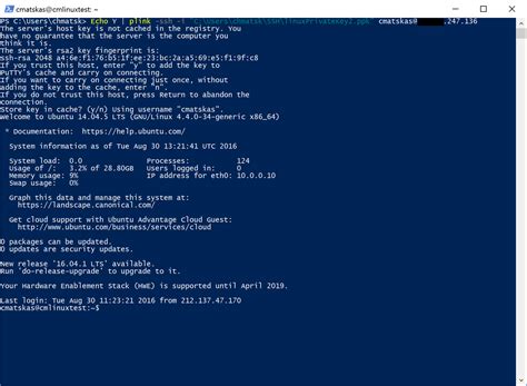 How to use SSH from PowerShell?