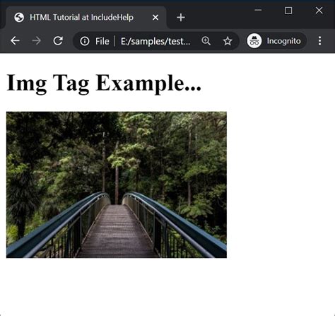 How to use img tag?