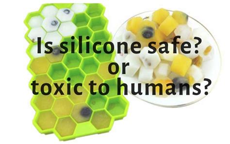 How toxic is silicone to humans?