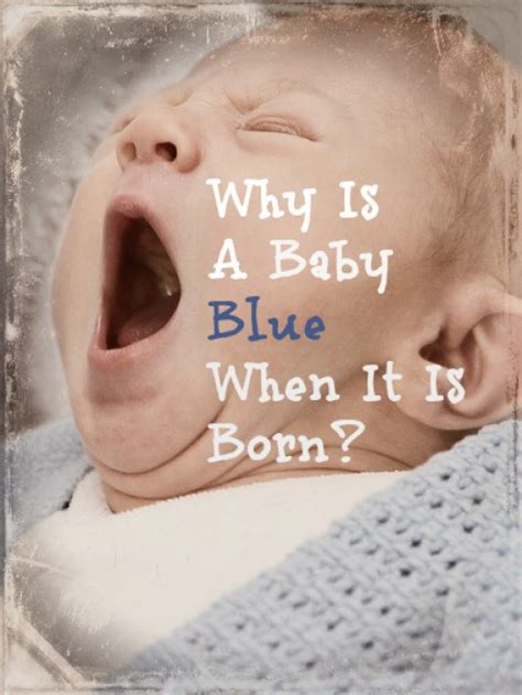 How was baby blue born?