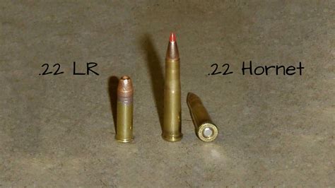 How weak is a 22 LR?