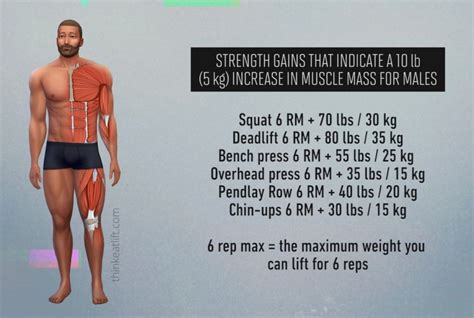 Is 0.5 kg of muscle a lot?