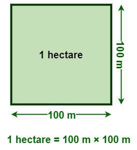 Is 1 hectare equal to 1000 m?