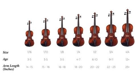 Is 1 year enough to learn violin?