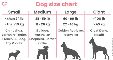 Is 10 kg a small dog?