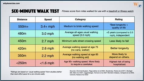 Is 10 km per day good?