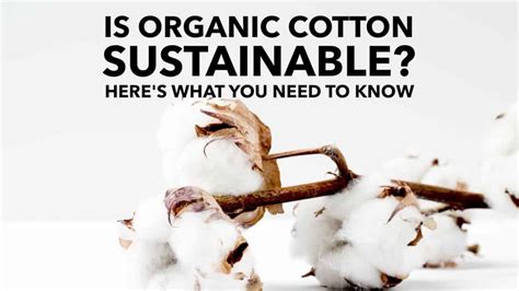 Is 100% cotton sustainable?
