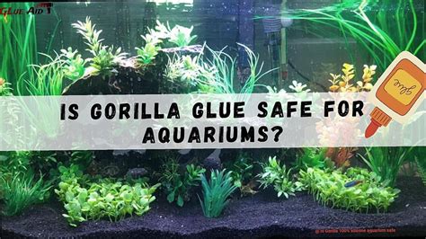 Is 100% silicone aquarium safe?