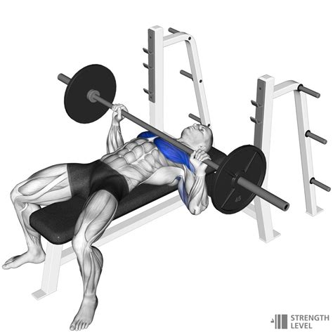 Is 100 kg bench good for 15?