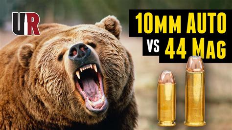 Is 10mm or 45 better for bears?