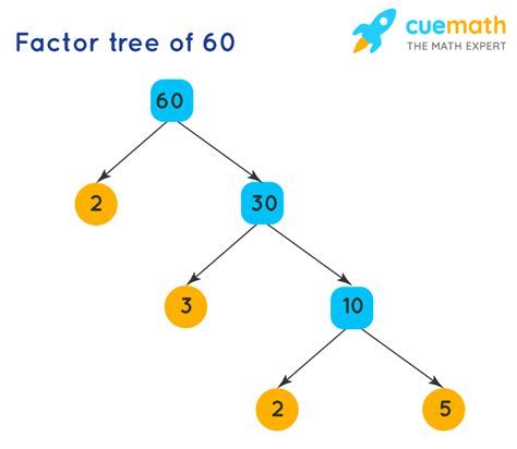 Is 12 a factor of 60?