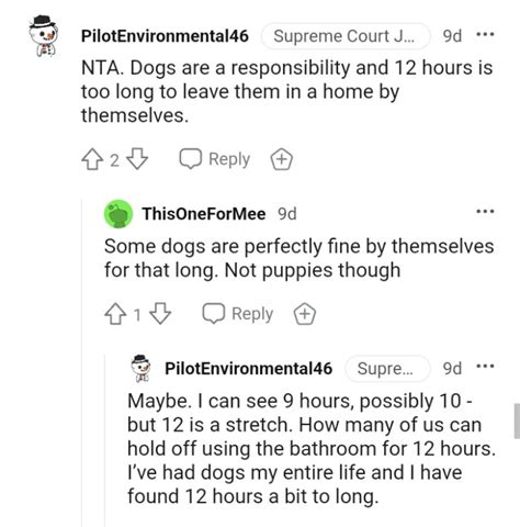 Is 12 hours alone too long for a dog?