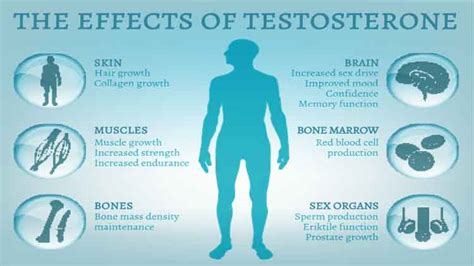 Is 1300 too high for testosterone?