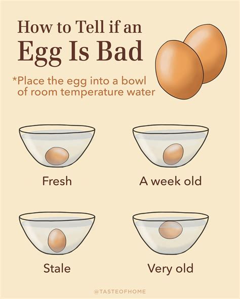 Is 15 eggs a day bad for you?