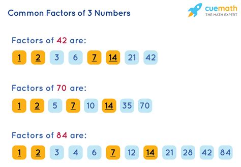 Is 17 a factor of 3?
