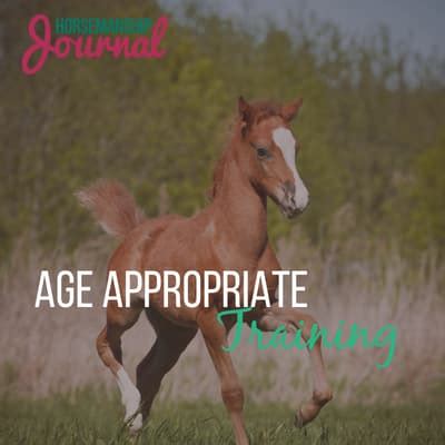 Is 17 a good age for a horse?