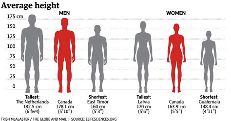 Is 170 cm tall or short?