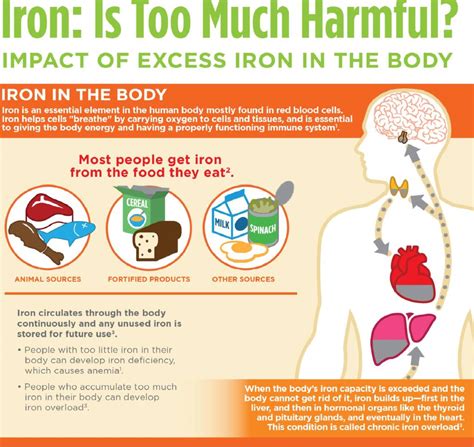 Is 170 mg of iron too much?