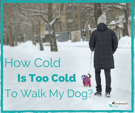 Is 18 degrees too cold to walk dog?