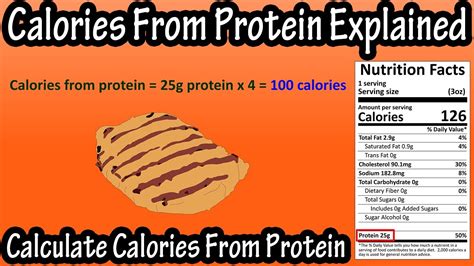 Is 1g of protein 1 calorie?