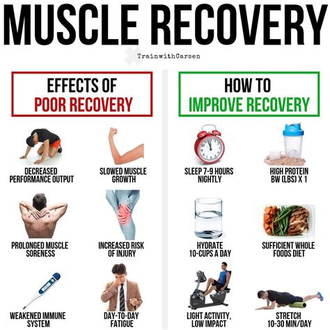 Is 2 days enough for muscle recovery?