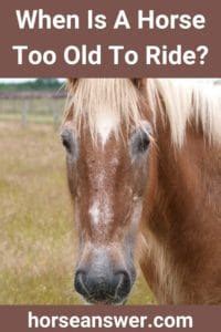 Is 20 too old to ride a horse?