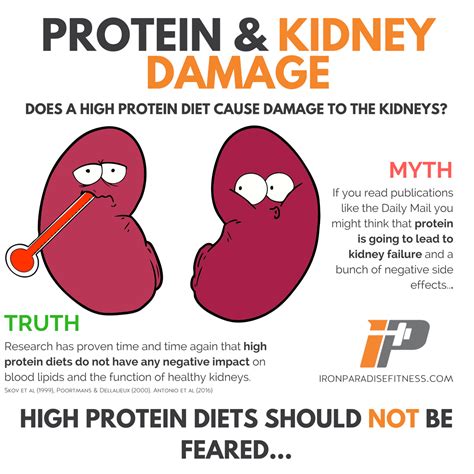 Is 200g protein bad for kidneys?