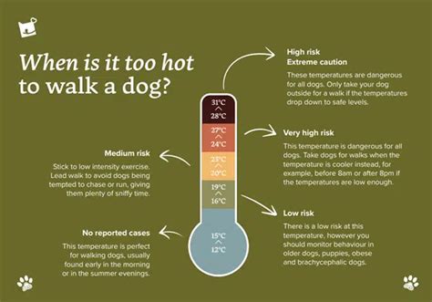 Is 23 degrees too hot to walk a dog?