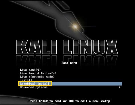 Is 256gb enough for Kali Linux?