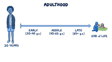 Is 28 early adulthood?