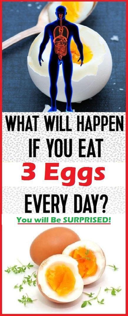 Is 3 eggs a day too much for weight loss?