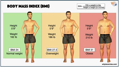 Is 3 kg overweight?