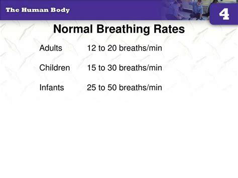 Is 30 breaths a minute normal?