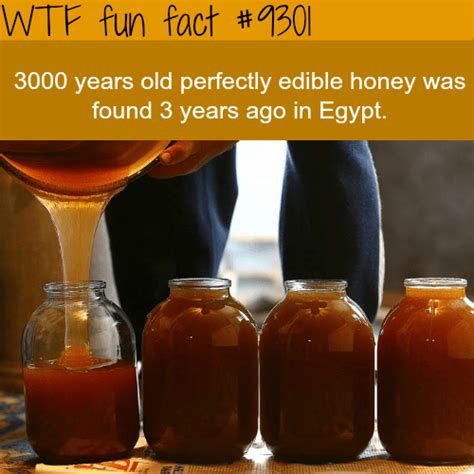 Is 3000 year old honey edible?