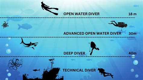 Is 30m a deep dive?