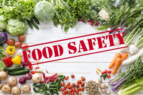 Is 316L safe for food?