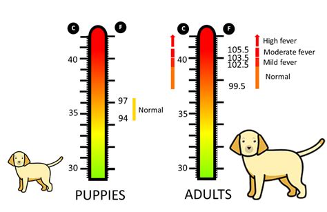 Is 39 normal temperature for a dog?